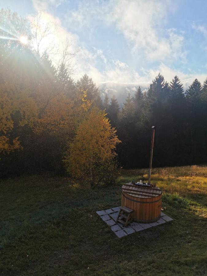 Das Koralpenchalet...Sonne, Wald, Natur! Trahutten Zewnętrze zdjęcie