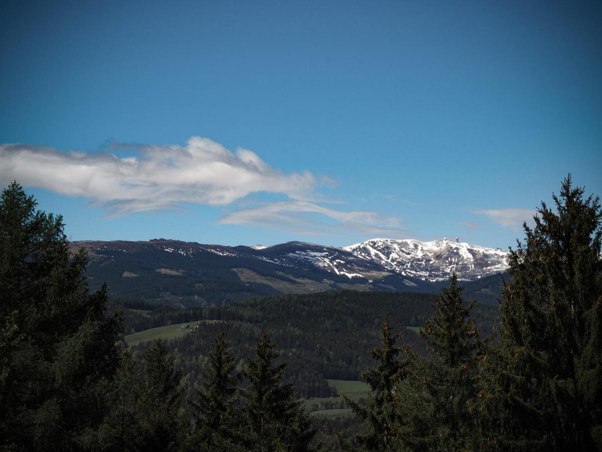 Das Koralpenchalet...Sonne, Wald, Natur! Trahutten Zewnętrze zdjęcie