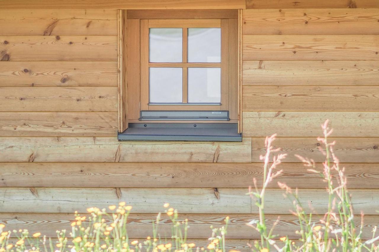 Das Koralpenchalet...Sonne, Wald, Natur! Trahutten Zewnętrze zdjęcie