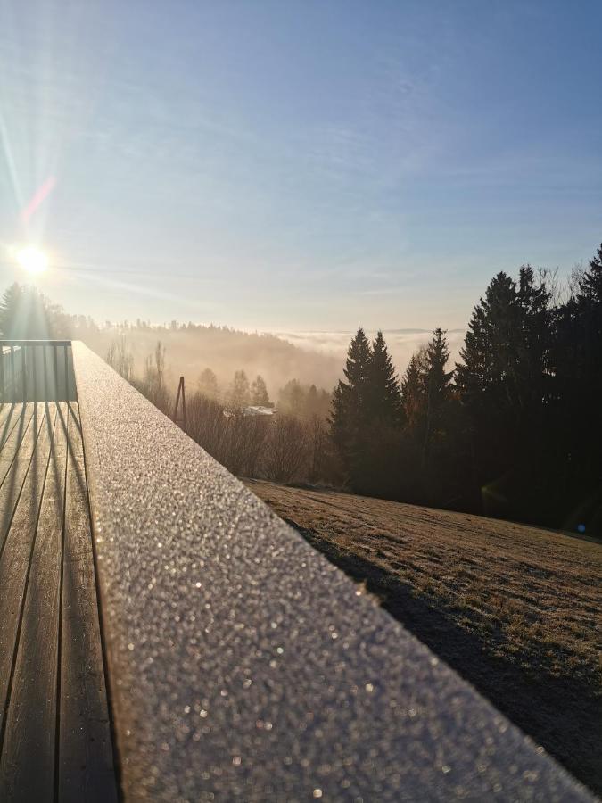 Das Koralpenchalet...Sonne, Wald, Natur! Trahutten Zewnętrze zdjęcie